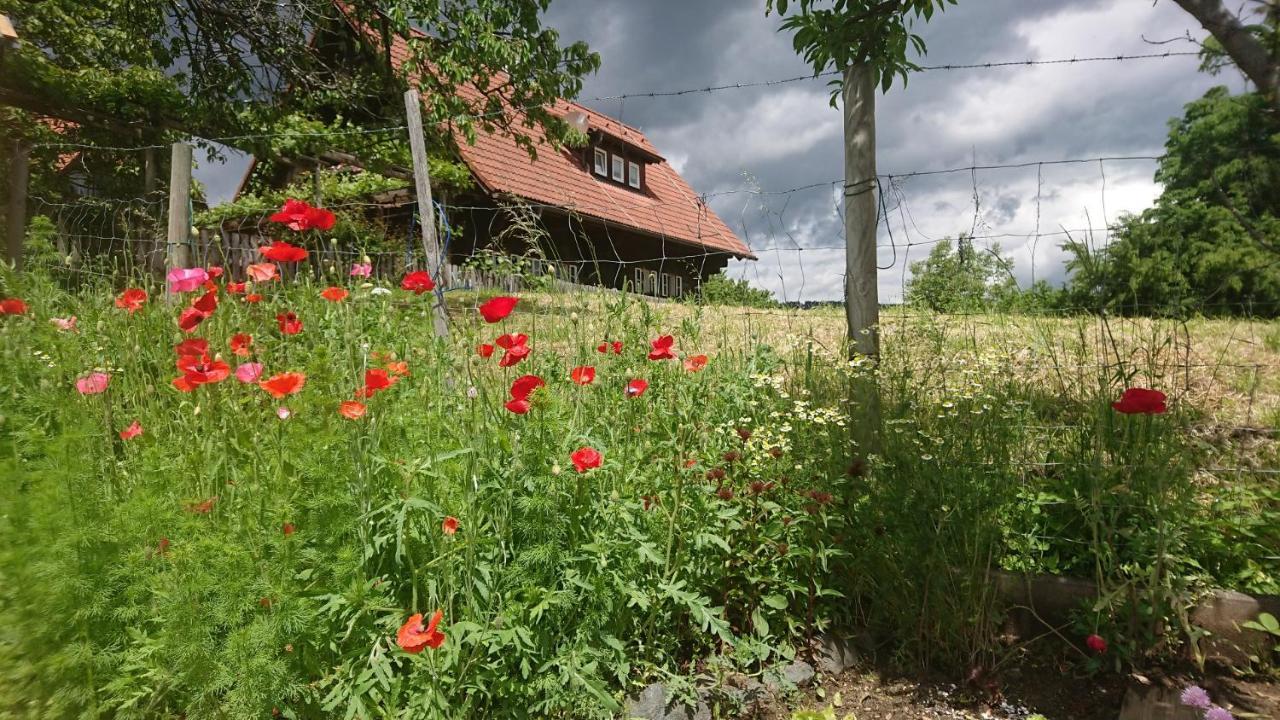 Gaestehaus Der Gamser Winzerstube Bad Gams 外观 照片